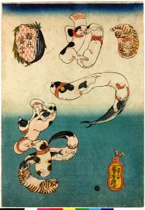 Katsuo かつお(Bonito) (BM 2008,3037.00901)