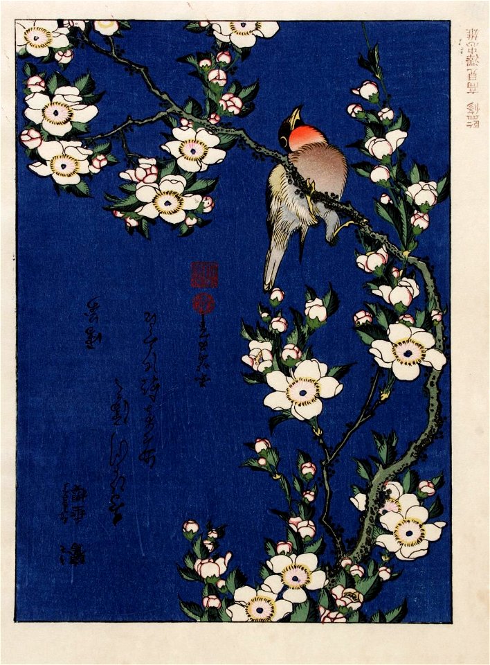 Katsushika Hokusai (1760-1849), Tak kersenbloesem met roodborstje