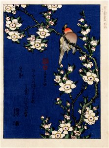 Katsushika Hokusai (1760-1849), Tak kersenbloesem met roodborstje