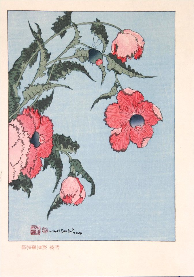 Katsushika Hokusai (1760-1849), Klaprozen