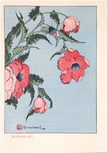 Katsushika Hokusai (1760-1849), Klaprozen