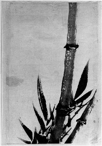 Katsushika Hokusai - Bamboo - 56.121.1 - Metropolitan Museum of Art