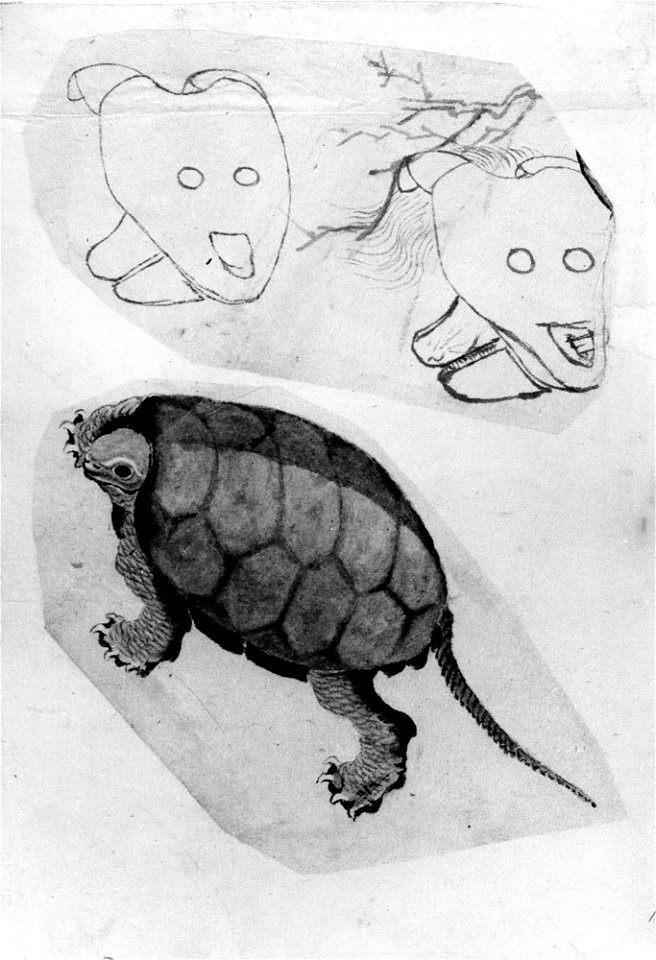 Katsushika Hokusai - Two Sketches, One of a Turtle, the Other of Two Unidentified Objects - 56.121.14 - Metropolitan Museum of Art