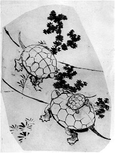 Katsushika Hokusai - Turtles - 56.121.12 - Metropolitan Museum of Art. Free illustration for personal and commercial use.