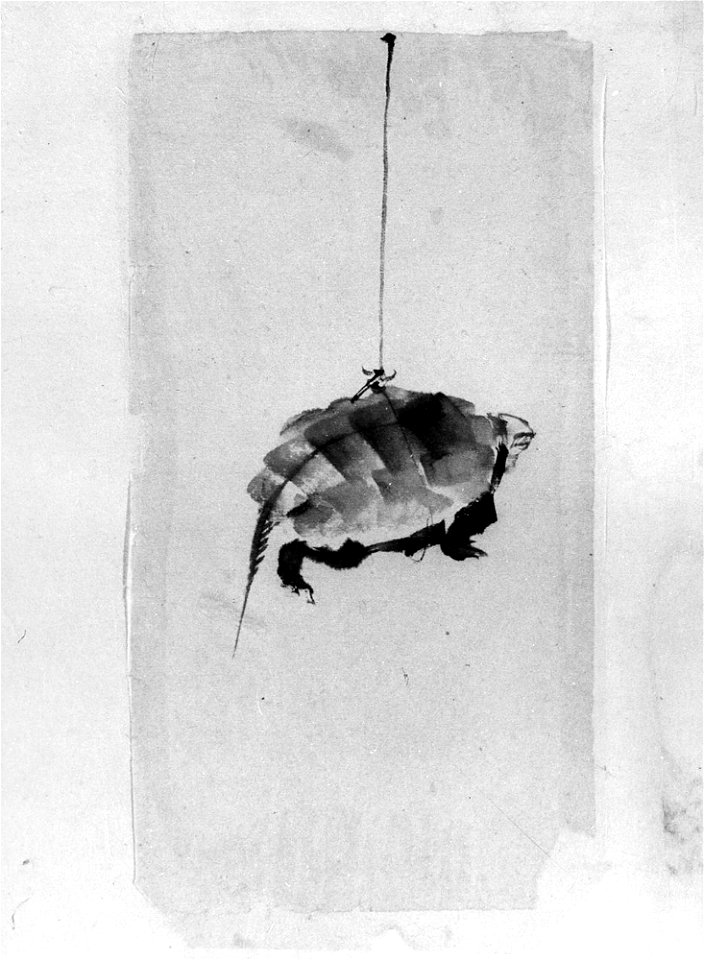 Katsushika Hokusai - Tortoise Suspended By String - 56.121.24 - Metropolitan Museum of Art