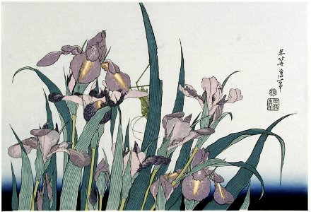 Katsushika Hokusai (1760-1849), Irissen met sprinkhaan (1820). Free illustration for personal and commercial use.