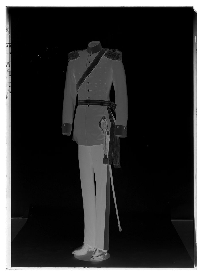 Kavalleriofficerssabel, dragonofficer m-1842 Tyskland - Livrustkammaren - 10063-negative