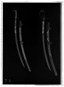 Kavalleriofficerssabel, Sverige 1810-1818 - Livrustkammaren - 52148-negative