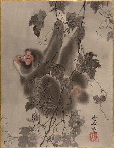 Kawanabe Kyōsai - Monkey Hanging from Grapevines - 14.76.61.28 - Metropolitan Museum of Art