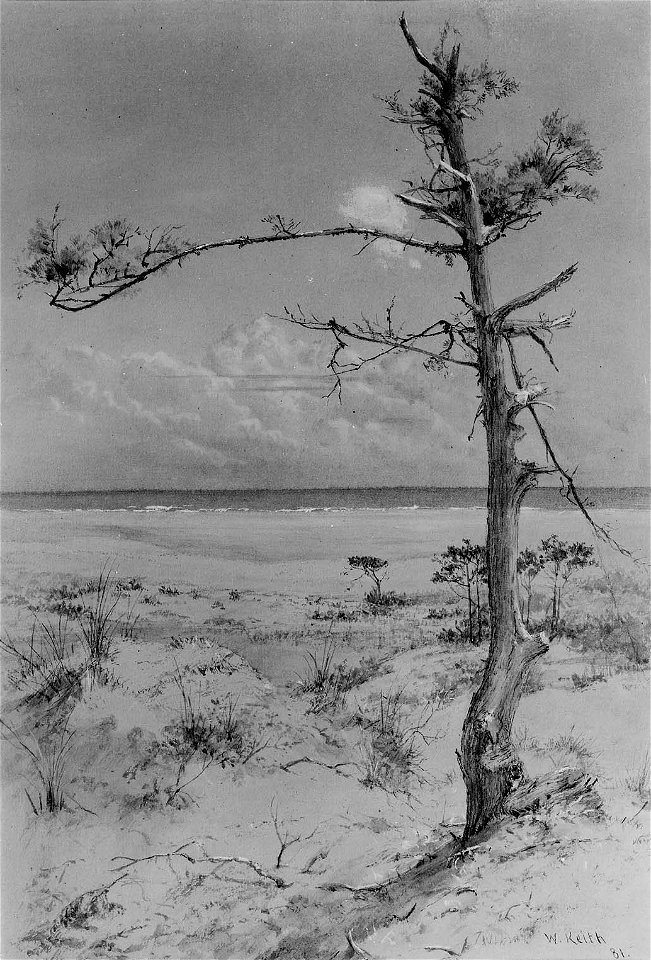 The Lone Pine by William Keith, 1881