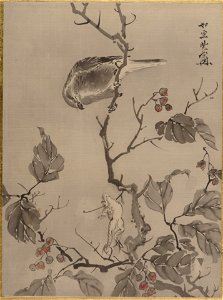 Kawanabe Kyōsai - Bird and Frog - 14.76.61.35 - Metropolitan Museum of Art