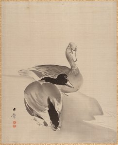 Kawabata Gyokushō - Pair of Ducks - 14.76.61.86 - Metropolitan Museum of Art