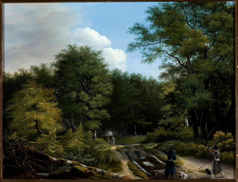 Kazimierz Żwan - Forest road - MP 5130 MNW - National Museum in Warsaw
