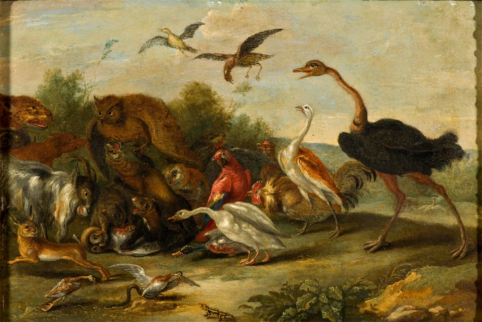 Battle between Owls and Quadrupeds (Jan van Kessel d.ä.) - Nationalmuseum - 17493