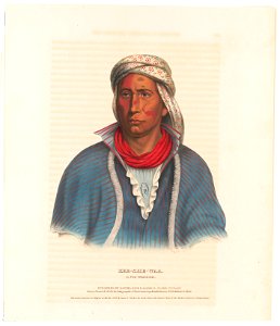 Kee-She-Waa, a Fox warrior - drawn, printed & col'd. at the Lithographic & Print Colouring Establishment, No. 94, Walnut St. Phila. LCCN2013645338
