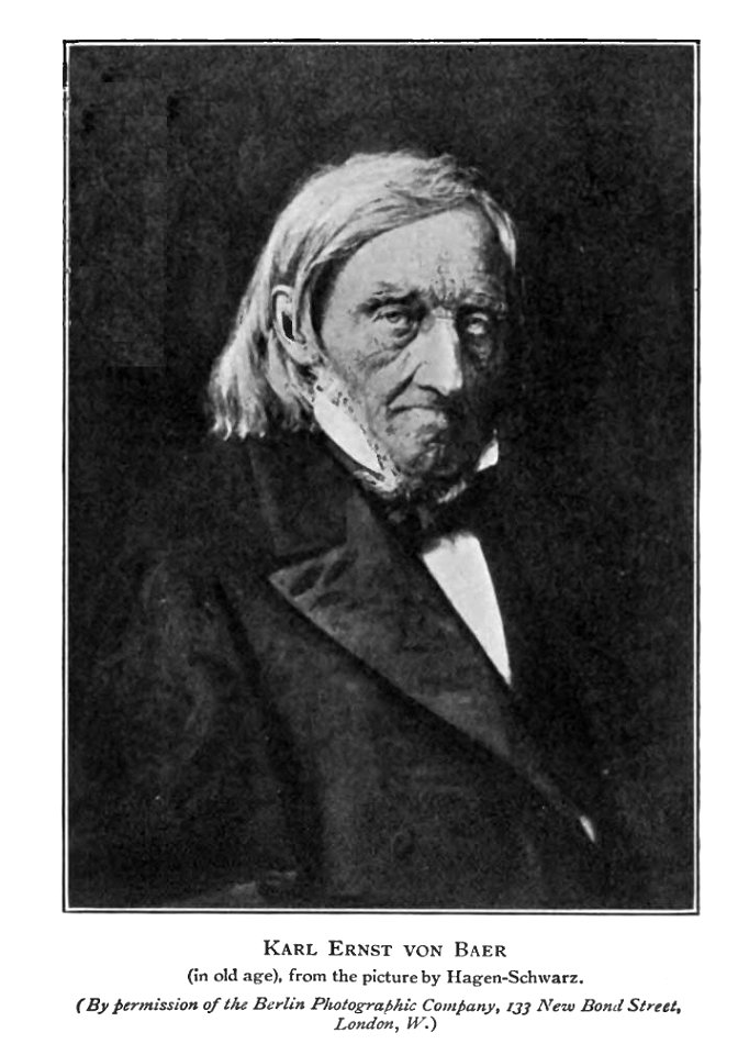 KEvonBaer