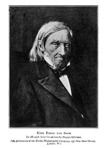 KEvonBaer