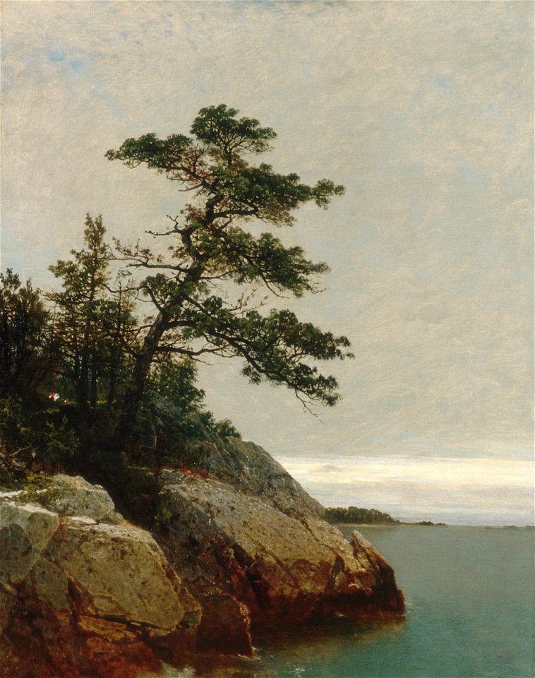Kensett John F The Old Pine Darien Connecticut