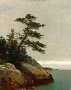 Kensett John F The Old Pine Darien Connecticut