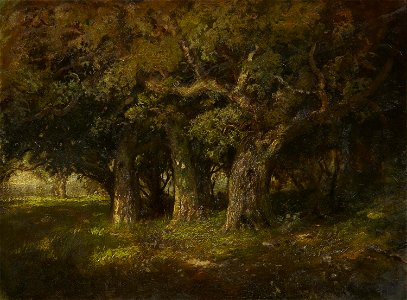 Study of Oaks by William Keith