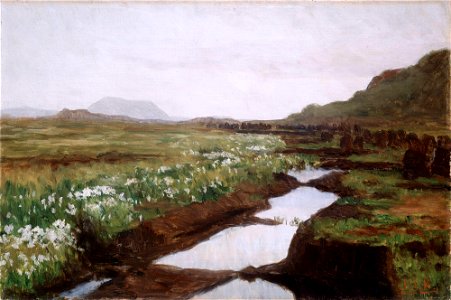 Kitty Kielland - Study of a Peat Bog on Jæren - NG.M.01585 - National Museum of Art, Architecture and Design. Free illustration for personal and commercial use.