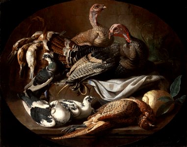 Jacob van der Kerckhoven - Still Life with Dead and Living Fowl. Free illustration for personal and commercial use.