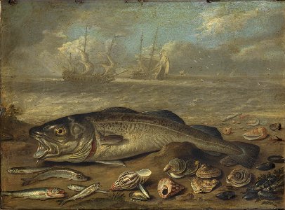 Jan van Kessel the Elder - Fish and marine landscape. Free illustration for personal and commercial use.