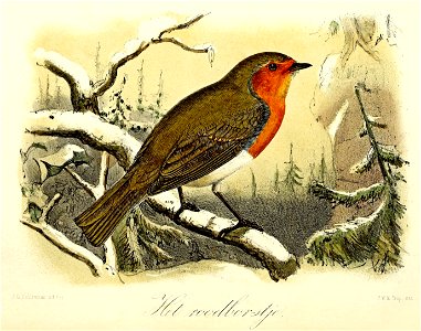 Keulemans Onze vogels 1 22