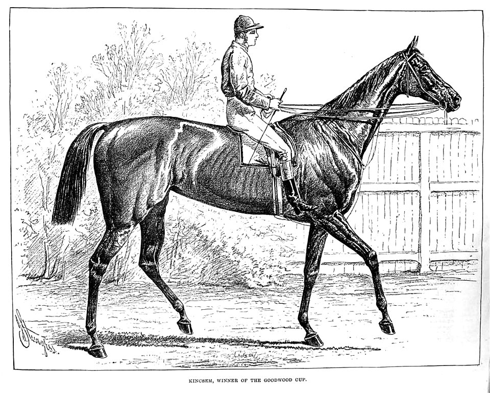 Kincsem 1878