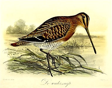Keulemans Onze vogels 1 63