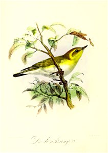 Keulemans Onze vogels 2 30