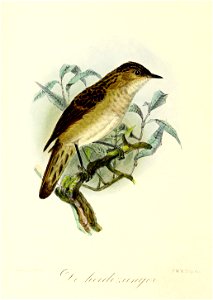 Keulemans Onze vogels 3 22
