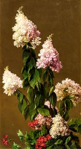 Hydrangeas and Other Garden Flowers by John Ross Key