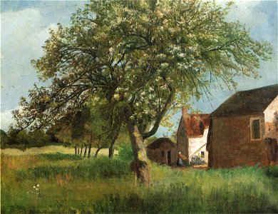 Kielland-Blomstrende tre i Cernay-la-Ville