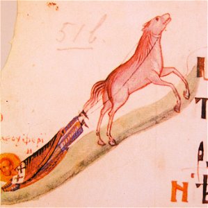 Kievskaya psaltir 052
