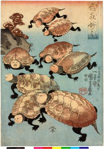 Kiki myomyo 亀喜妙々 (Turtle Fun- Wonderful, Wonderful) (BM 2008,3037.21005)