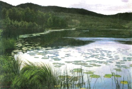 Kitty Kielland-Sommernatt