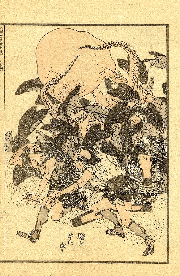 Kimo ga imo ni naru