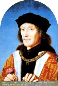 King Henry VII
