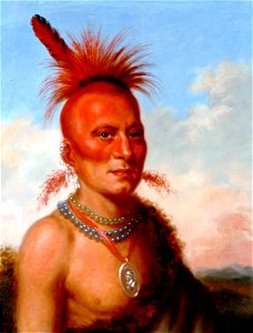 Sharitarish - Wicked Chief - by Charles Bird King, c1822. Free illustration for personal and commercial use.