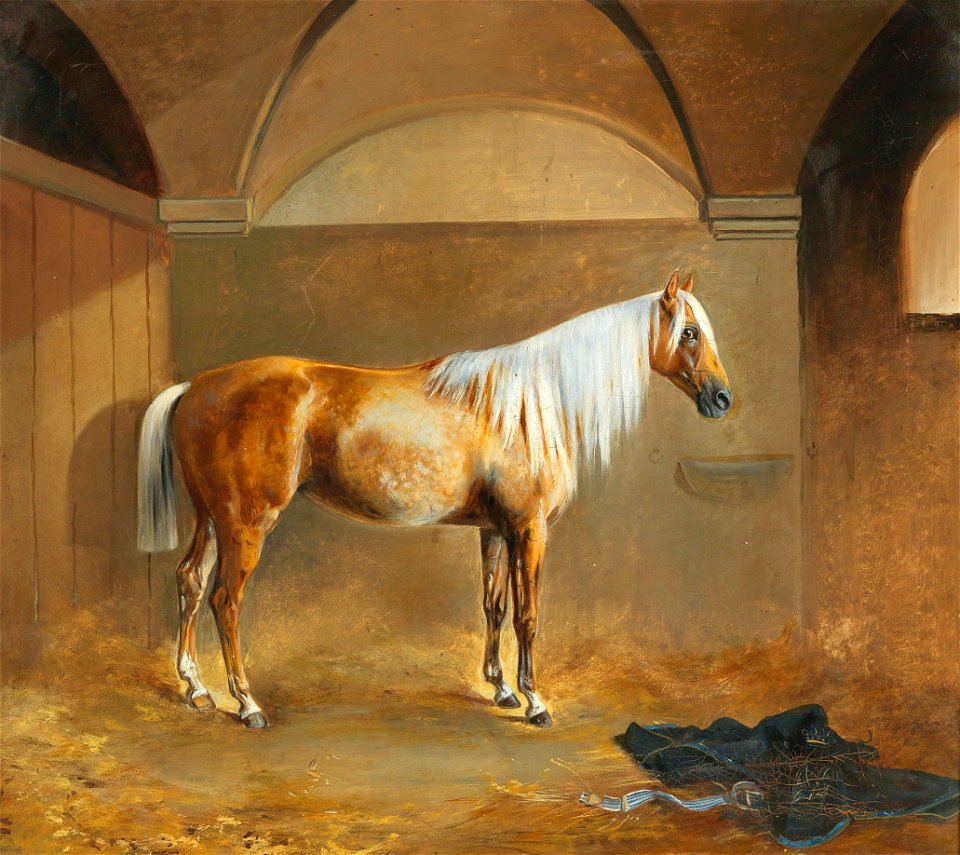 Kinsky Stute Orange im Stall von Chlumec