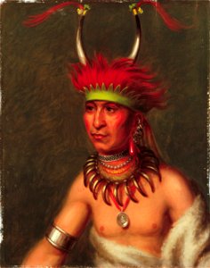 Charles Bird King - Monchousia (White Plume), Kansa - Google Art Project