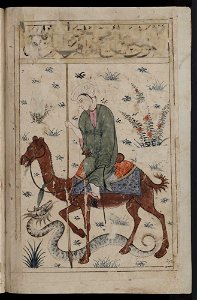 Kitab al-Bulhan --- man on camel with snake