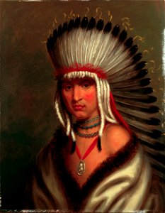 Charles Bird King - Petalesharro (Generous Chief), Pawnee - Google Art Project. Free illustration for personal and commercial use.