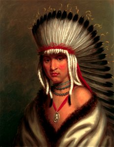 Petalesharro - Generous Chief - by Charles Bird King, c1822. Free illustration for personal and commercial use.