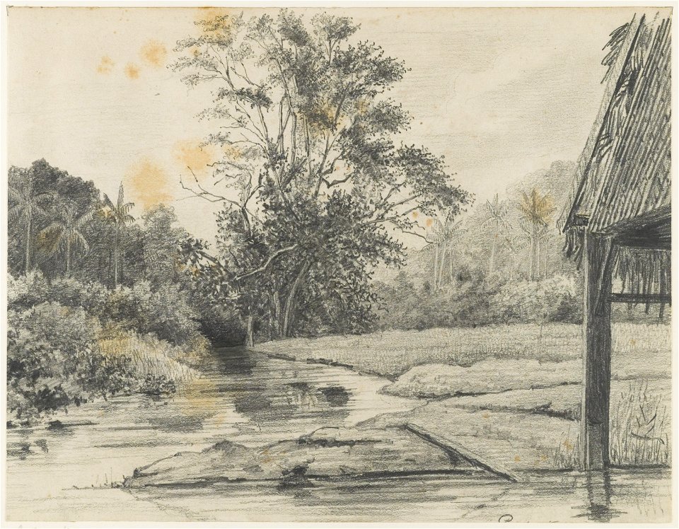 KITLV - 36C190 - Borret, Arnoldus - In Paulus Creek at the Plantation Bleyendaal - Pencil - Circa 1880