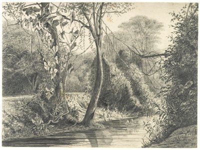 KITLV - 37A219 - Borret, Arnoldus - Plantation Livorno - Pencil - 1879