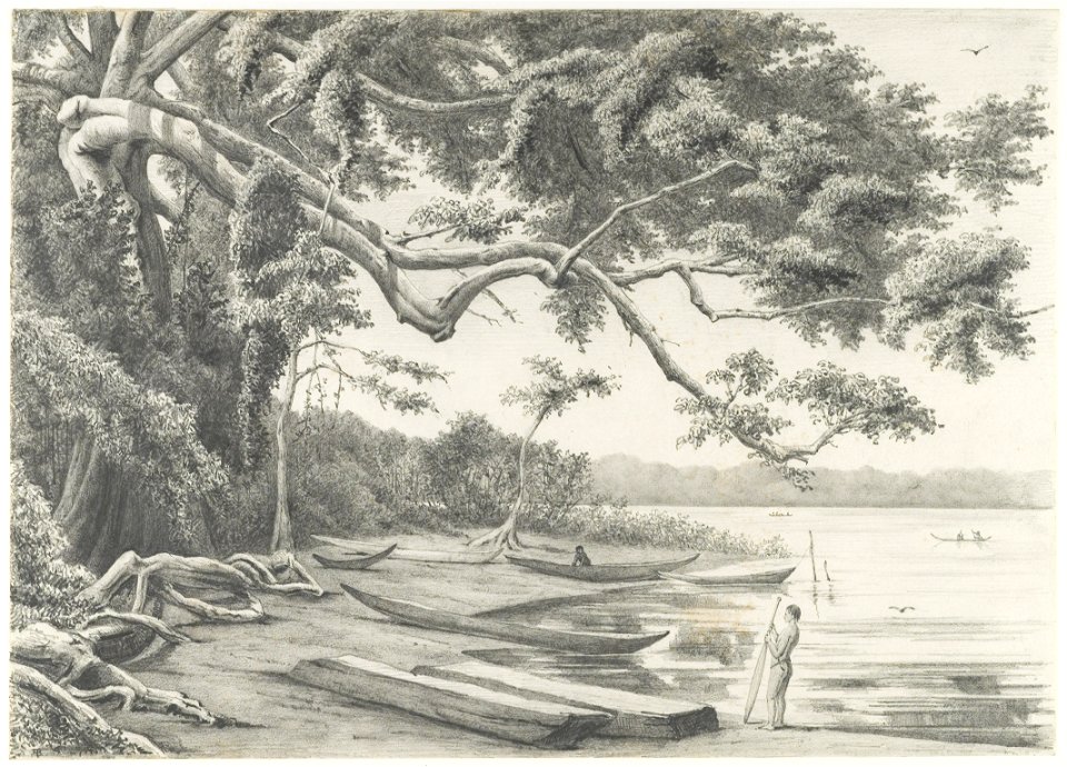 KITLV - 37A223 - Borret, Arnoldus - Landing of an Indian camp, Surinam - Pencil - Circa 1880