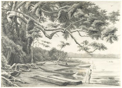 KITLV - 37A223 - Borret, Arnoldus - Landing of an Indian camp, Surinam - Pencil - Circa 1880