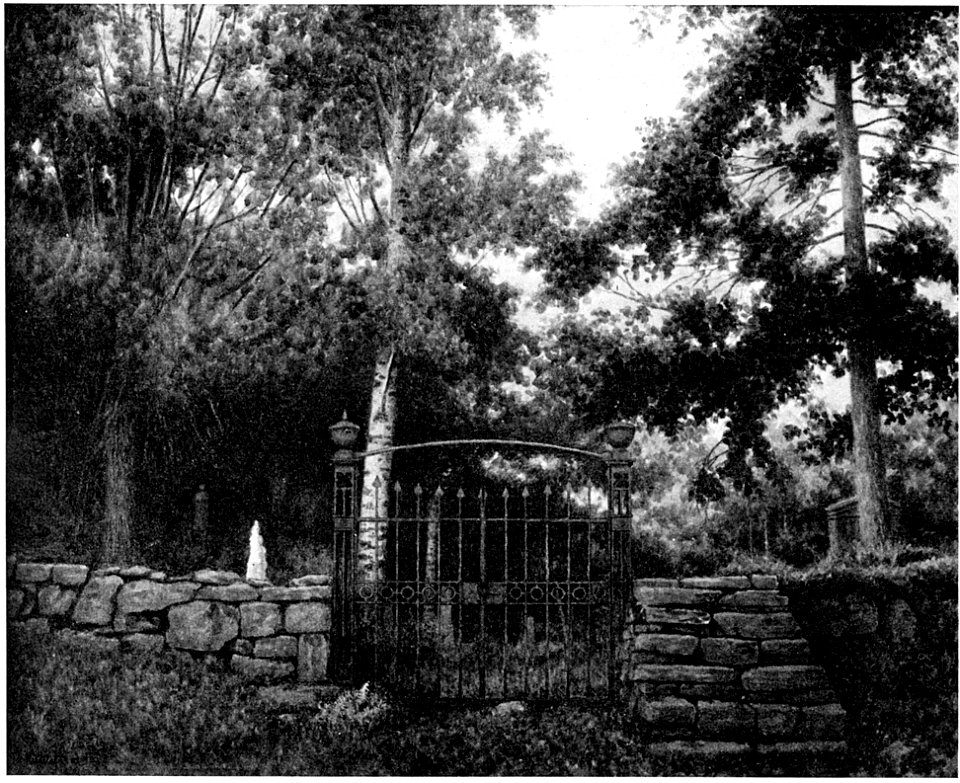 Kirkegaarden paa braatebakken - Church garden